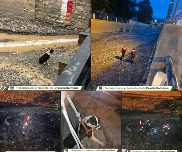 𝗟𝗔 𝗣𝗥𝗢𝗡𝗧𝗔 𝗔𝗖𝗖𝗜Ó𝗡 𝗗𝗘 𝗡𝗨𝗘𝗦𝗧𝗥𝗢𝗦 𝗕𝗢𝗠𝗕𝗘𝗥𝗢𝗦 𝗣𝗘𝗥𝗠𝗜𝗧𝗘 𝗥𝗘𝗦𝗖𝗔𝗧𝗔𝗥 𝗔 𝗨𝗡 𝗣𝗘𝗟𝗨𝗗𝗜𝗧𝗢 𝗗𝗘𝗟 𝗜𝗡𝗧𝗘𝗥𝗜𝗢𝗥 𝗗𝗘 𝗨𝗡 𝗥Í𝗢