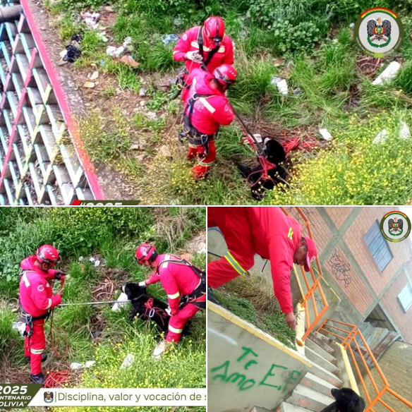 𝗡𝗨𝗘𝗦𝗧𝗥𝗢𝗦 𝗕𝗢𝗠𝗕𝗘𝗥𝗢𝗦 𝗥𝗘𝗦𝗖𝗔𝗧𝗔𝗥𝗢𝗡 𝗔 𝗨𝗡 𝗣𝗘𝗟𝗨𝗗𝗜𝗧𝗢 𝗔𝗧𝗥𝗔𝗣𝗔𝗗𝗢 𝗘𝗡 𝗨𝗡 𝗕𝗔𝗥𝗥𝗔𝗡𝗖𝗢