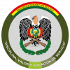 BICENTENARIO DE BOLIVIA PERFIL OFICIAL SIN BASE POL BOL 2025-04